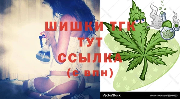 эйфоретик Аркадак