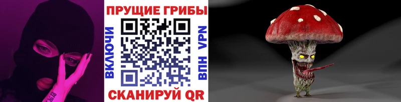 Псилоцибиновые грибы мицелий  Кизел 